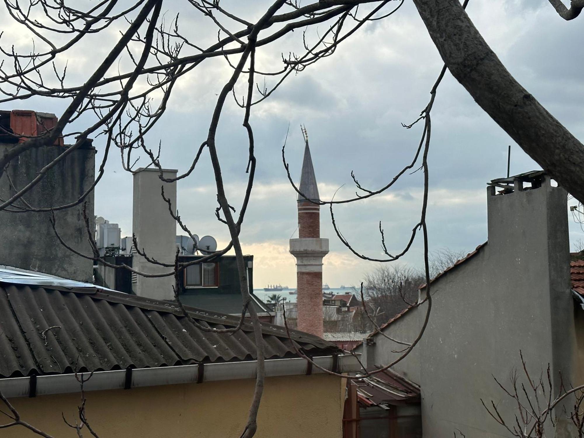 Modern Apart Close To Blue Mosque And Hagia Sophia Old City Istanbul Eksteriør billede